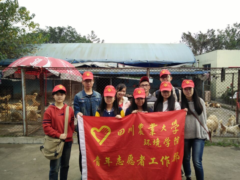新葡的京集团8814青年志愿者工作部再赴启明小动物保护中心开展志愿活动