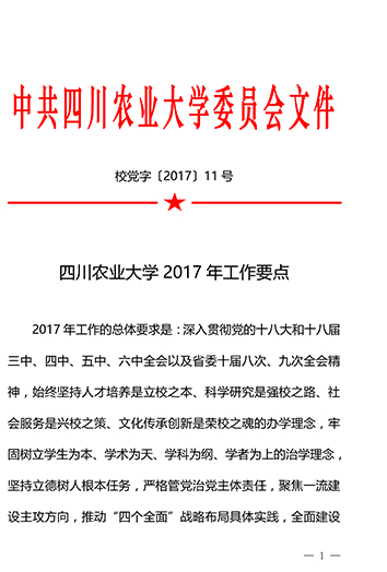 新葡的京集团88142017年工作要点